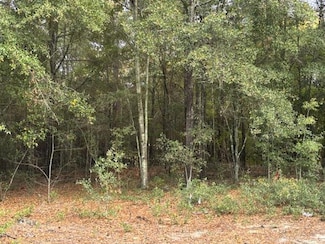 Lot 33 Marie Ln, Bainbridge, GA 39817