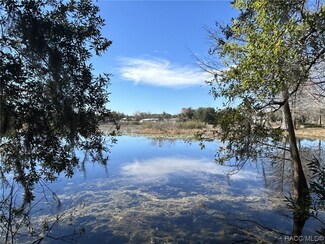 6310 N Shorewood Dr, Hernando, FL 34442
