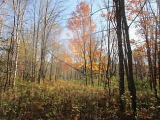 0 Fenander Rd, Sarona, WI 54870