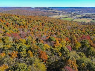 0000 Cr 935, Berryville, AR 72616