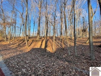 123,1718 Ferrell Cir, Cadiz, KY 42211