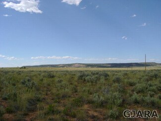 220 N Trail Canyon Dr, Glade Park, CO 81523