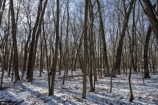 Lot 10 Oak Hill Estate N, Lemonweir, WI 53948