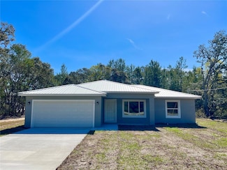 7 Fisher Trace, Ocklawaha, FL 32179