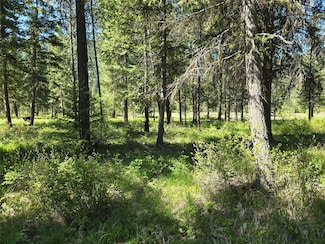 NH Fairview Dr, Saint Regis, MT 59866