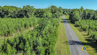0 Marvis Chapman Rd Unit 22366880, Ideal, GA 31041
