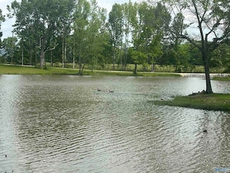 Lot 6 County Road 115, Cedar Bluff, AL 35959