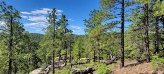 0 Cr 38 2 Unit 23-1012, Weston, CO 81091