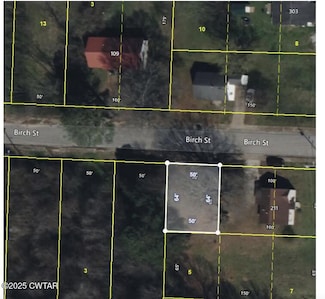 110 Birch St, Jackson, TN 38301