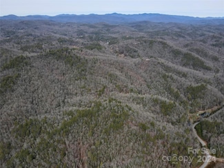 TBD Paul McCoy Rd, Lake Toxaway, NC 28747