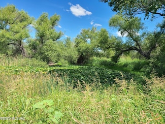 0 Curtis Rd - Curtis Farms Lot 2 Unit 22303355, St. David, AZ 85630