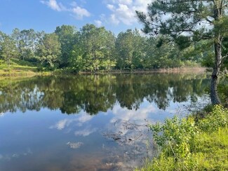 Tract 2 Tract 2 of 620 George Wise Rd, Carriere, MS 39426