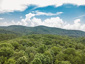 56.46 Ac Cutcane Rd, Mineral Bluff, GA 30559