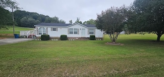 100 Betty Ave, Hollow Rock, TN 38342