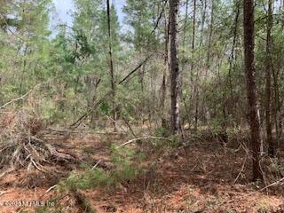 00 SE 4th Ave, Interlachen, FL 32148