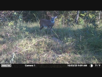 S80 Helt Rd, Antlers, OK 74525