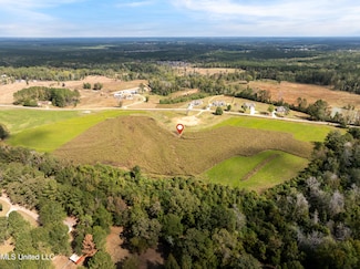 257 Higgins Rd, Sumrall, MS 39482