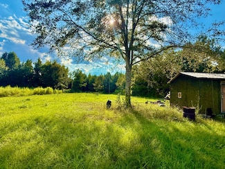 3662 Broad St, Pine Hill, AL 36769