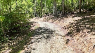 Tract 1 Fain Branch Rd, Blairsville, GA 30512