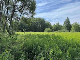 0 Greene St, Alfred, NY 14802