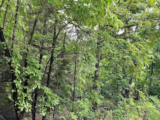 000 Highway 63, Mammoth Spring, AR 72554