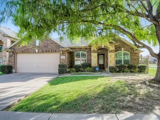 9110 Post Oak Ct, Arlington, TX 76002
