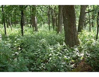 0 Stowell Rd Unit 72240697, Ashburnham, MA 01430