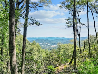 4 Laurel Ledge Way Unit 16, Fletcher, NC 28732
