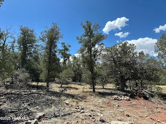 1035c W Whiskey River Rd, Seligman, AZ 86337