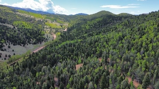 Four Mile Rd Unit Divide CO, Divide, CO 80814