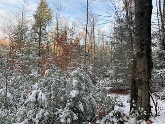 Lot 1 Newell Rd, Newbury, NH 03255