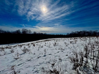 TBD A N Preston Hwy, Bruceton Mills, WV 26525