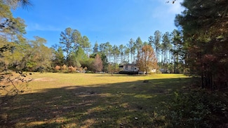 469 Dub Lewis Rd, Douglas, GA 31533