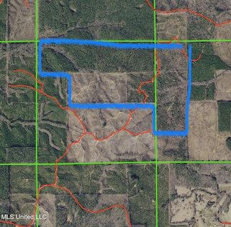 0 Attala County Unit 4116646, Kosciusko, MS 39090