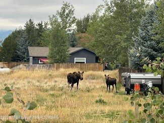 724 Buffalo Trail, Driggs, ID 83422