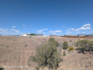 X Road 3900, Farmington, NM 87401