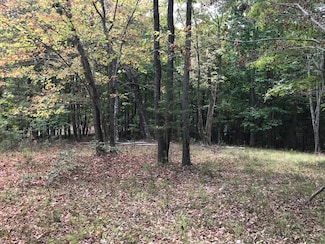103-B Bluff View Dr, Dunlap, TN 37327