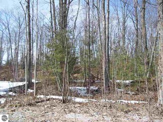 00 Columbine Ct Unit 110, East Tawas, MI 48730