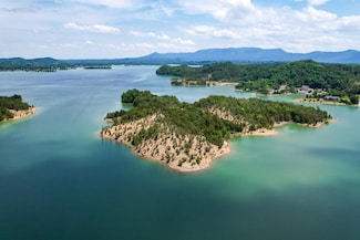0 Douglas Lake Island Unit RTC2906078, Sevierville, TN 37876