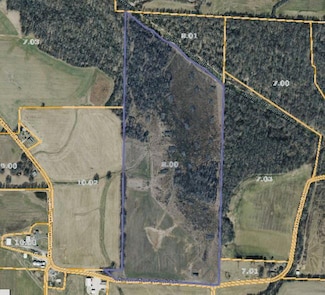 00 Jones Mill Rd, Puryear, TN 38251