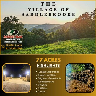 401 Sunset Dr, Saddlebrooke, MO 65630