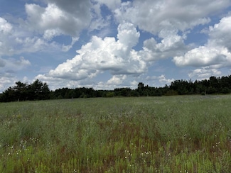 VL N Hazel St, Gaylord, MI 49735