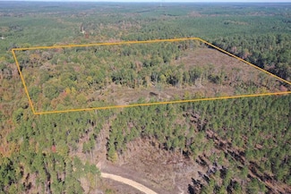 County Road 425, Sheridan, AR 72150