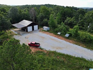 475 Lovie Ln Unit 475, Delta, AL 36258
