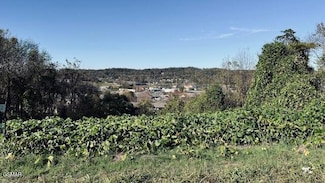 Lot 25 Chapman View Divide, Seymour, TN 37865