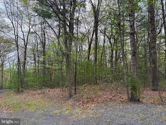 Lot 17 Dooley Dr, Basye, VA 22810