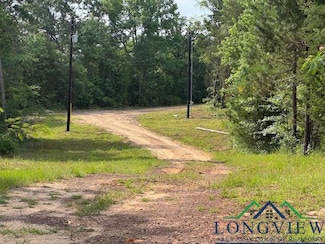1723 County Road 4430, Winnsboro, TX 75494