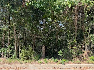 Lot 22 Rose Oneill Dr, Branson, MO 65616
