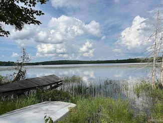 Off Forest 8300 Rd, Marenisco, MI 49947