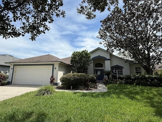 3522 Autumn Glen Dr, Valrico, FL 33596